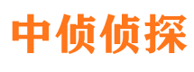 宜宾市侦探调查公司